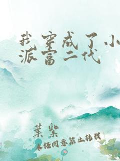 我穿成了小说反派富二代