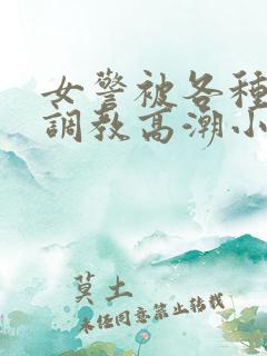 女警被各种刑具调教高潮小说