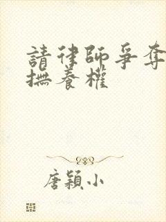 请律师争夺孩子抚养权