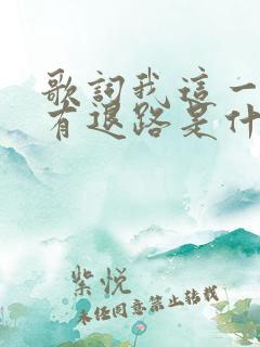 歌词我这一生没有退路是什么歌