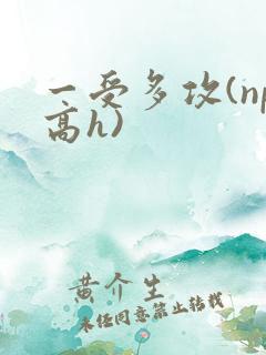 一受多攻(np高h)
