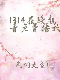 1314在线观看免费播放电视剧1314影院