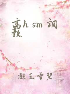 高h sm 调教