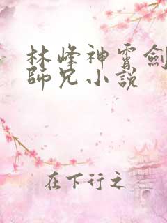 林峰神霄剑宗大师兄小说