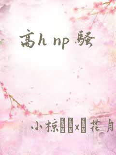 高h np 骚