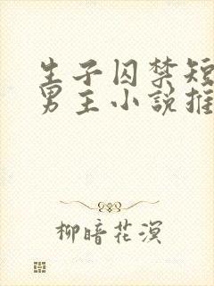 生子囚禁短篇双男主小说推荐