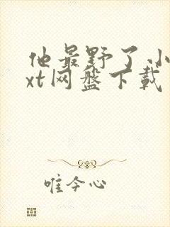 他最野了小说txt网盘下载