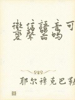 微信语音可以用变声器吗