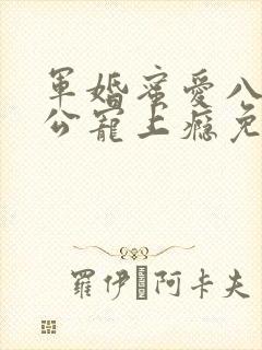 军婚蜜爱八零老公宠上瘾免费阅读