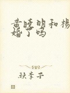 黄晓明和杨颖复婚了吗