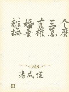 离婚有三个小孩抚养权怎么判定