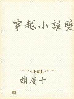 穿越小说双男主