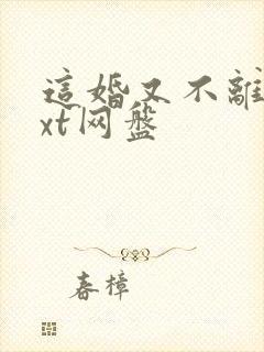 这婚又不离了txt网盘