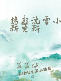 杨毅沈雪小说最新更新