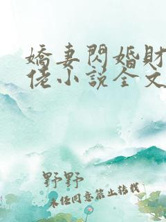 娇妻闪婚财阀大佬小说全文阅读