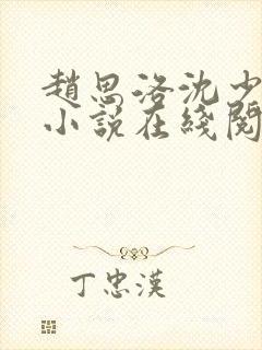 赵思洛沈少烨的小说在线阅读