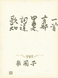 歌词里有一句不知道是哪首歌