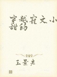 穿越宠文小说超甜的