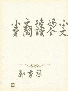 小文后妈小说免费阅读全文最新章节