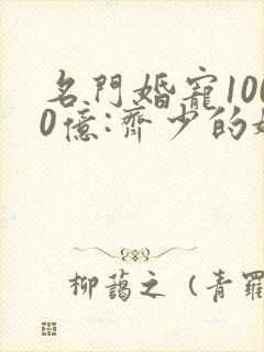 名门婚宠1000亿:齐少的娇妻