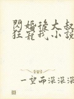 闪婚后大叔每天狂宠我小说