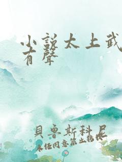 小说太上武神诀有声