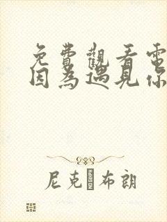 免费观看电视剧因为遇见你全集