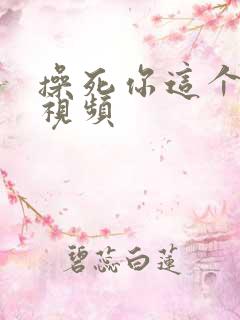 操死你这个骚货视频