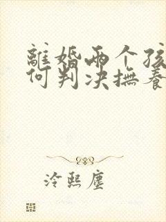 离婚两个孩子如何判决抚养权