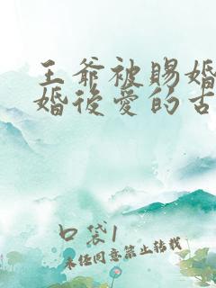 王爷被赐婚的先婚后爱的古言小说