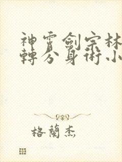 神霄剑宗林枫九转分身术小说