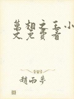 万相之王小说全文免费看