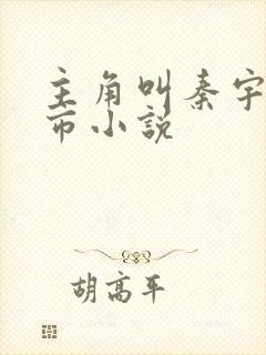 主角叫秦宇的都市小说