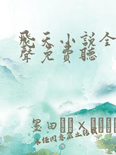 飞天小说全集有声免费听