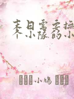 末日需要抚慰整个小队的小说