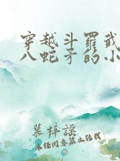 穿越斗罗武魂丈八蛇矛的小说