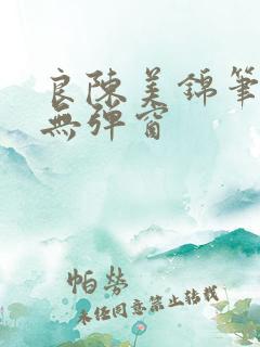 良陈美锦笔趣阁无弹窗