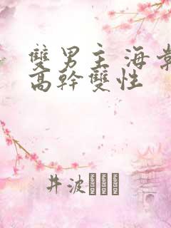 双男主 海棠 高干双性