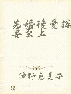 先婚后爱总裁宠妻至上