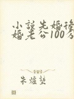 小说先婚后爱闪婚老公100分最新章节