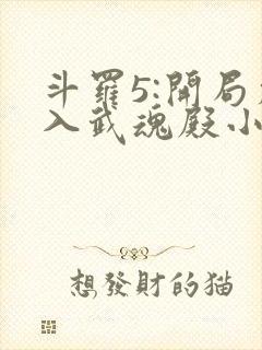 斗罗5:开局加入武魂殿小说下载下载全集