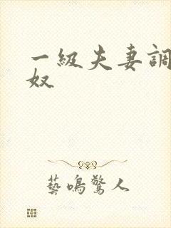 一级夫妻调教男奴