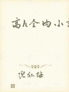 高h全肉小说