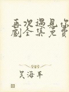 再次遇见你电视剧全集免费观看