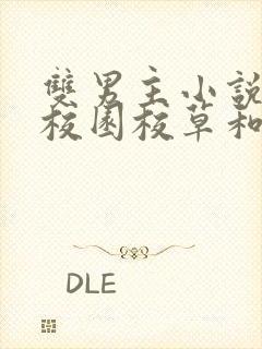 双男主小说推荐校园校草和校霸