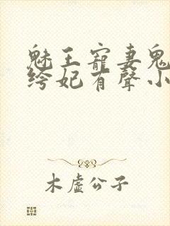 魅王宠妻鬼医纨绔妃有声小说