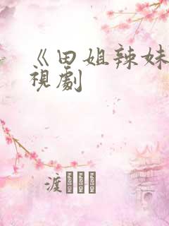 《田姐辣妹》电视剧