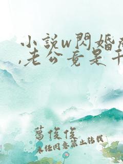 小说w闪婚成宠,老公竟是千亿大佬》