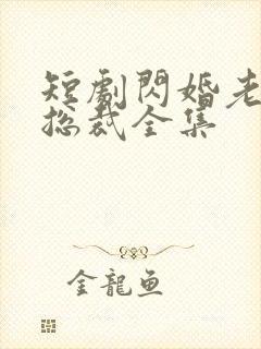 短剧闪婚老公是总裁全集