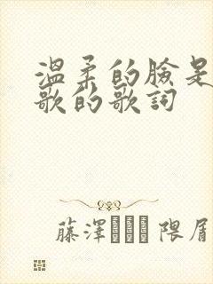 温柔的脸是什么歌的歌词